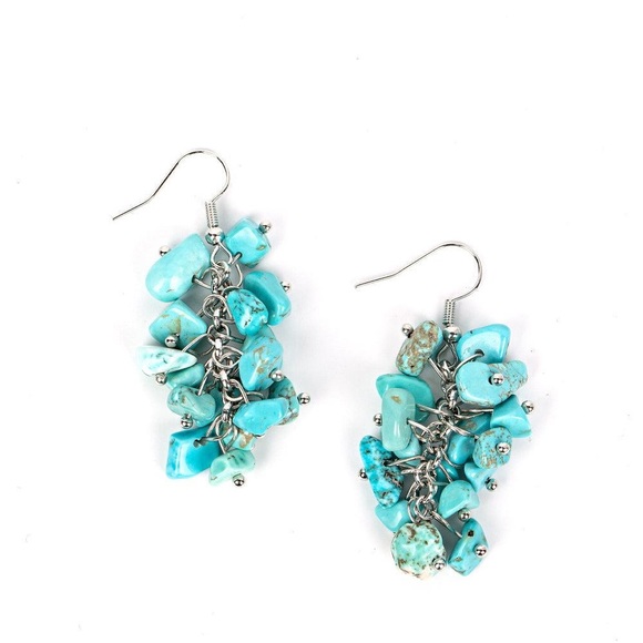 Paparazzi earring - Picture 1 of 2